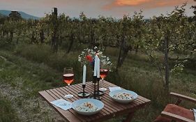 Pop Tiny House Balaton